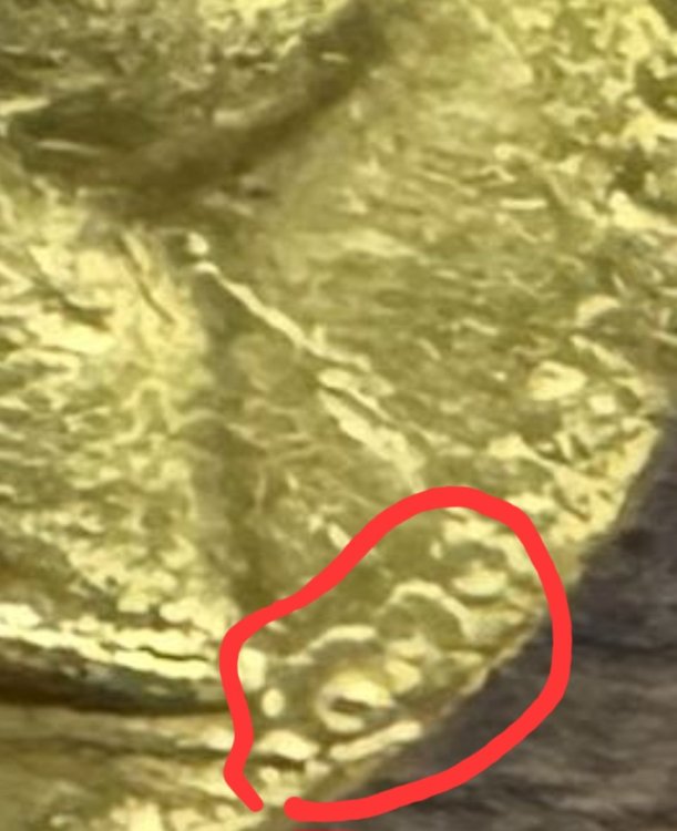 Screenshot_20240519_182054_Samsung Internet.jpg