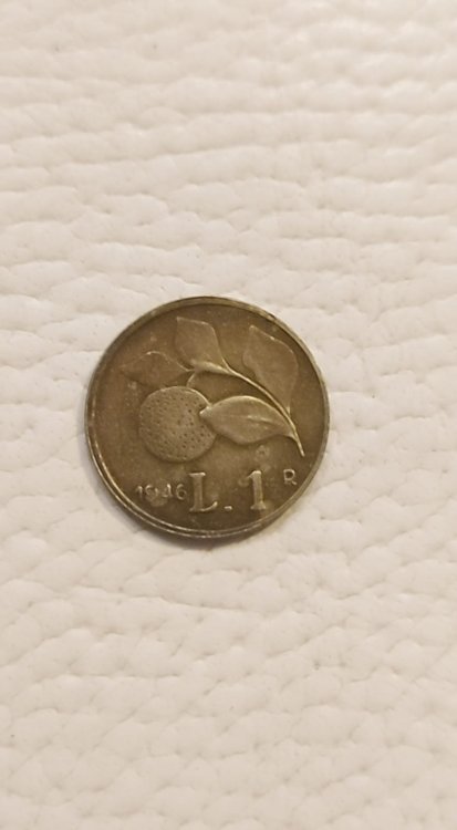 WhatsApp Image 2024-05-04 at 10.09.27.jpeg