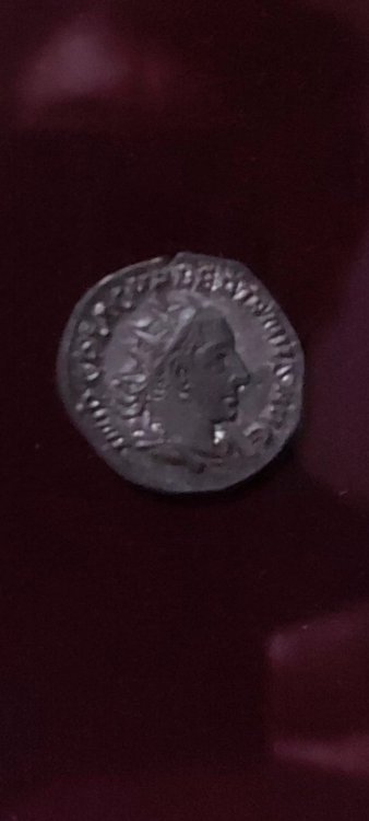 WhatsApp Image 2024-05-04 at 10.35.12.jpeg