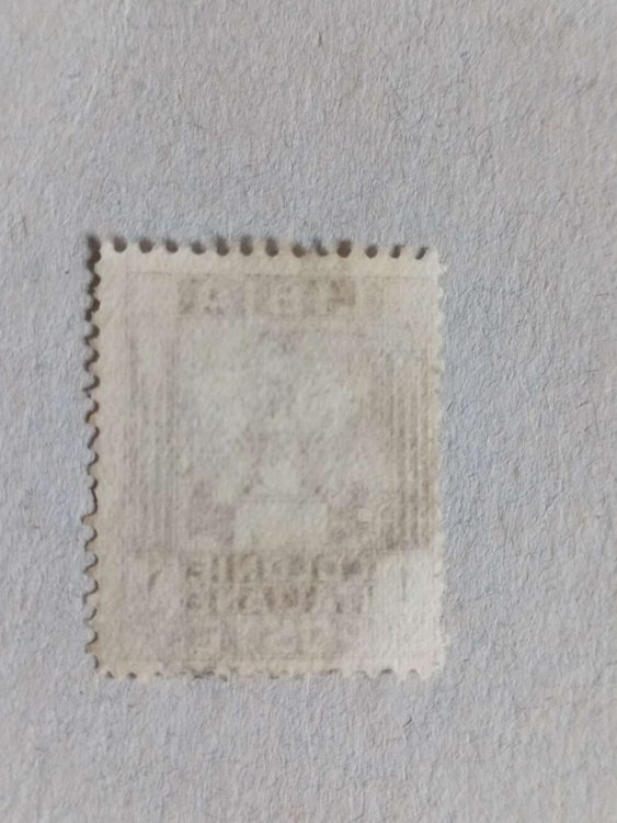 Compress_20240602_195249_9241.thumb.jpg.bdc5f06ecc3b1c158dfb890ef991c0d0.jpg