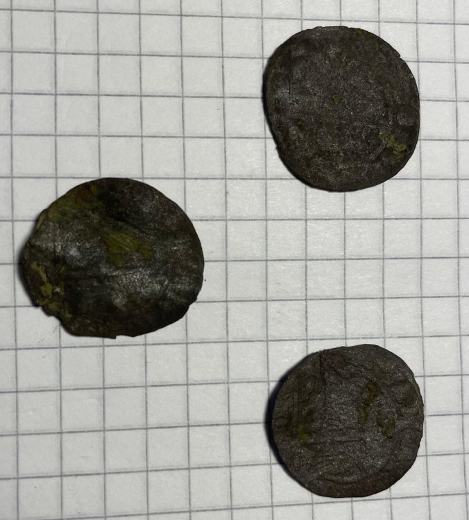 Immagine WhatsApp 2024-06-13 ore 10.36.49_4cc30684.jpg