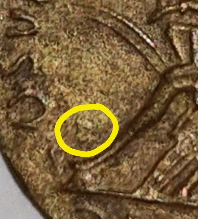 Screenshot_20240607_192235_Samsung Internet.jpg