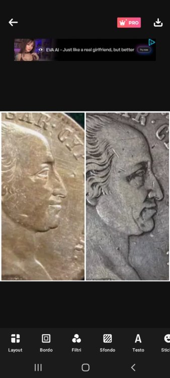 Screenshot_20240618-130618_Photo Editor Pro - Polish.jpg