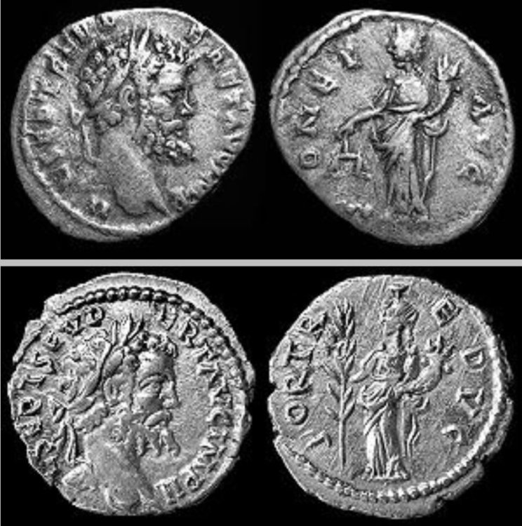 Screenshot_20240629_100611_Samsung Internet.jpg