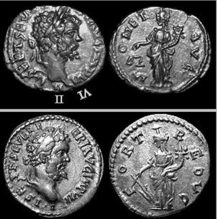 Screenshot_20240629_100631_Samsung Internet.jpg