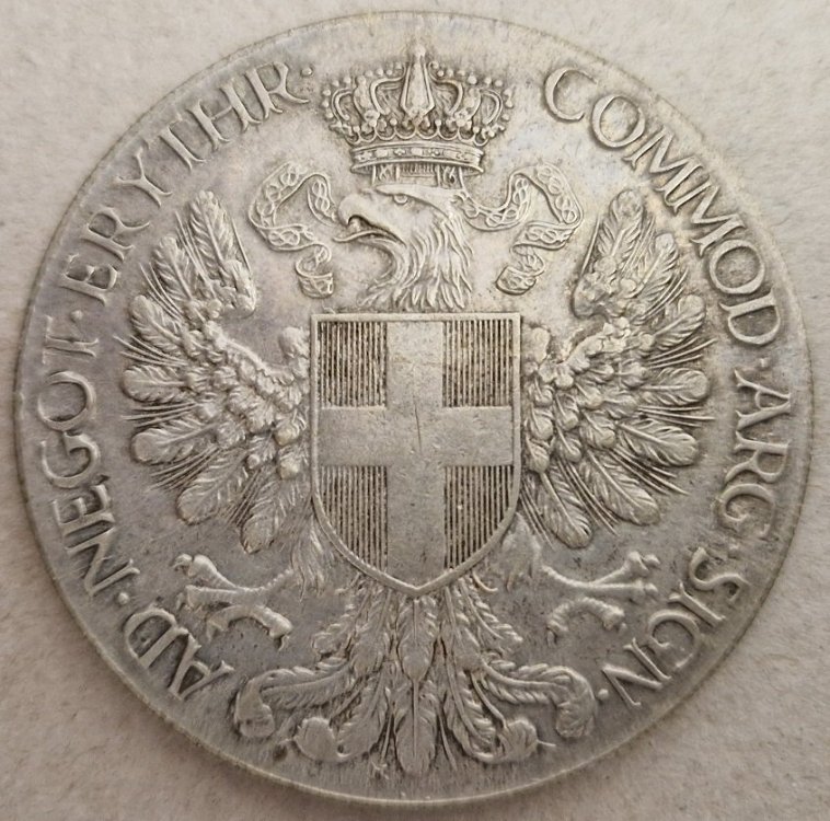 20240705_153232 - Copia.jpg