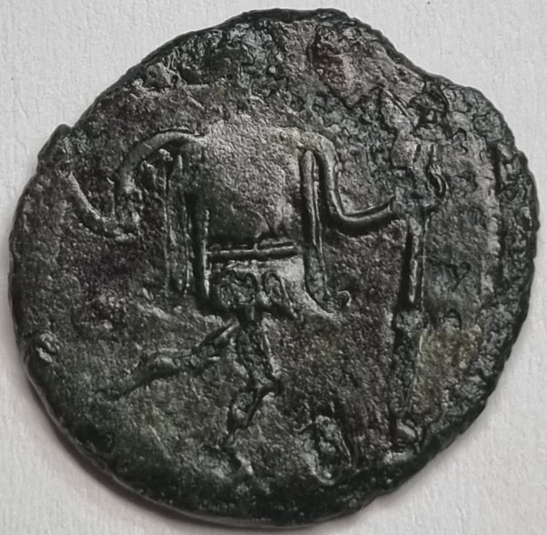 Immagine WhatsApp 2024-07-07 ore 18.35.19_4c5e3f6e.jpg