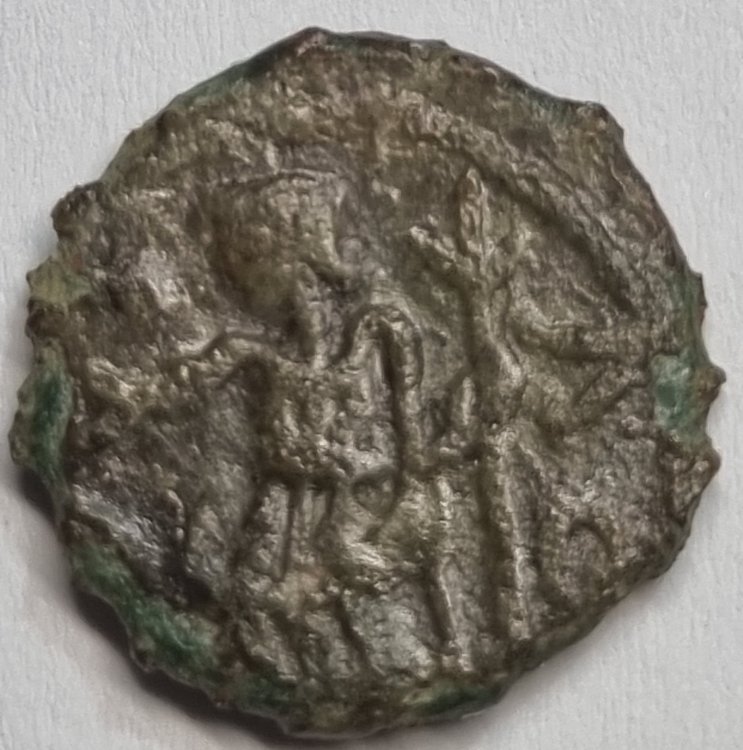 Immagine WhatsApp 2024-07-07 ore 18.35.19_5a4b5f5e.jpg