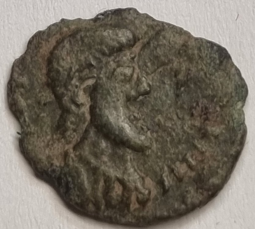 Immagine WhatsApp 2024-07-07 ore 18.35.19_6ef3e1fc.jpg