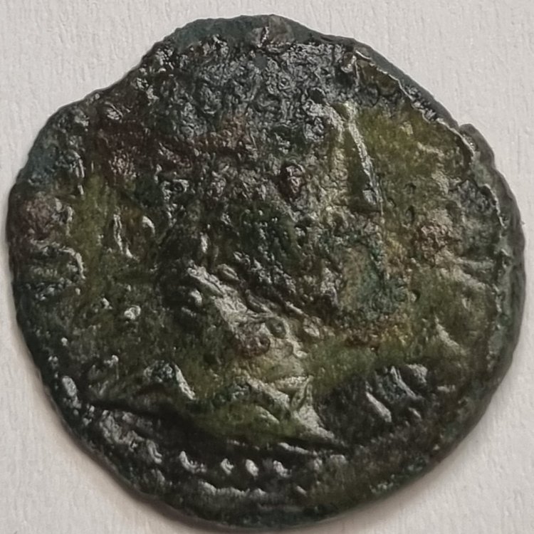 Immagine WhatsApp 2024-07-07 ore 18.35.19_9a1353d2.jpg