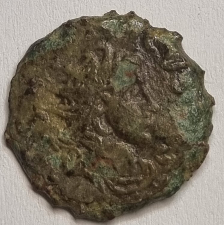 Immagine WhatsApp 2024-07-07 ore 18.35.20_3ba87925.jpg