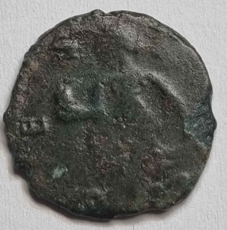 Immagine WhatsApp 2024-07-07 ore 18.35.20_6bdded45.jpg