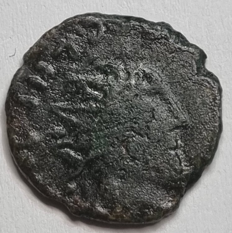 Immagine WhatsApp 2024-07-07 ore 18.35.20_e95f127e.jpg