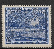 Nepal-67-59(2).jpg.a3f18d34a853edacf8c2031cc65243a4.jpg