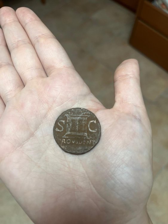 WhatsApp Image 2024-07-25 at 17..jpg