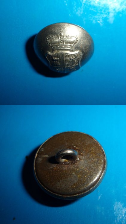 bottone araldica 2.jpg