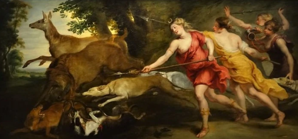 Immagine 2024-08-29 184518.png