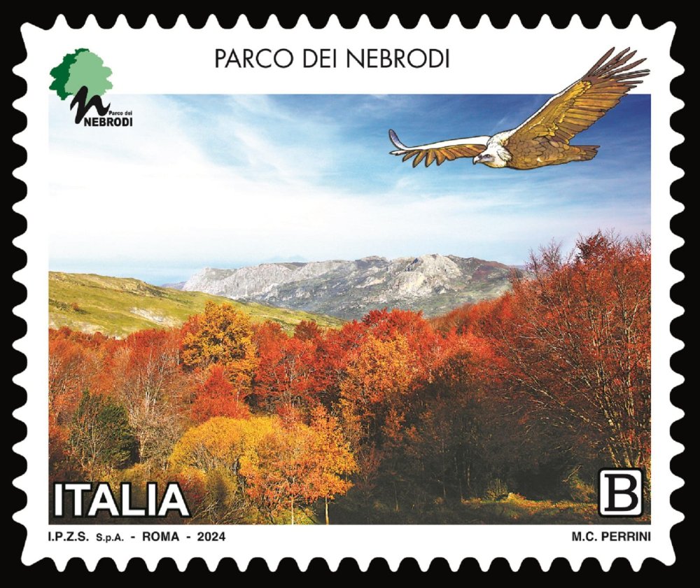 Nebrodi.thumb.jpg.9233ead8623d8fca441b3fba3c09be3f.jpg