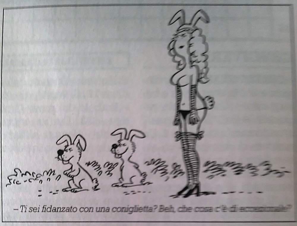coniglietti.thumb.jpg.342740d18bcae24b063fb2d8536b7074.jpg