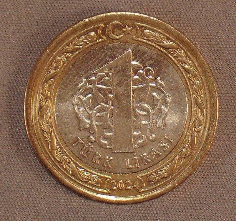 1 Lira 2024 r.JPG