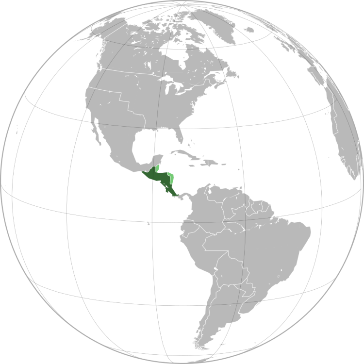 Federal_Republic_of_Central_America_(orthographic_projection)_svg.thumb.png.6d623989e7ff852a897744bcc18a9c91.png