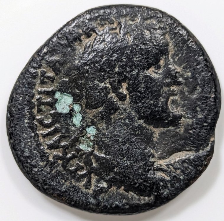 IMG_20240906_185645 (1).jpg