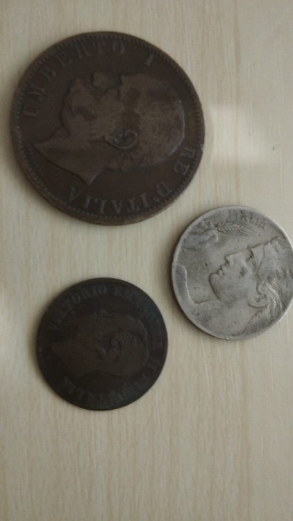 Immagine WhatsApp 2024-09-01 ore 10.29.12_10c7a97c.jpg