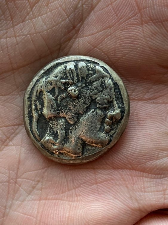 Immagine WhatsApp 2024-09-04 ore 18.24.13_26833daf.jpg