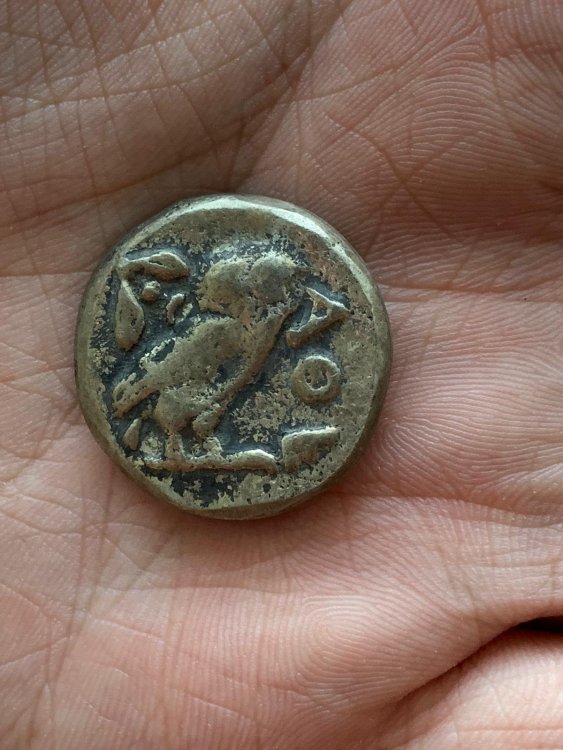 Immagine WhatsApp 2024-09-04 ore 18.24.14_68a85d10.jpg