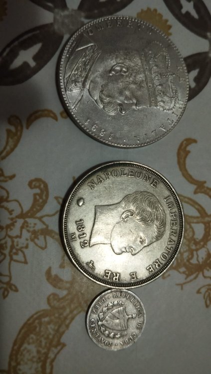 Immagine WhatsApp 2024-09-12 ore 18.01.28_49862c4d.jpg