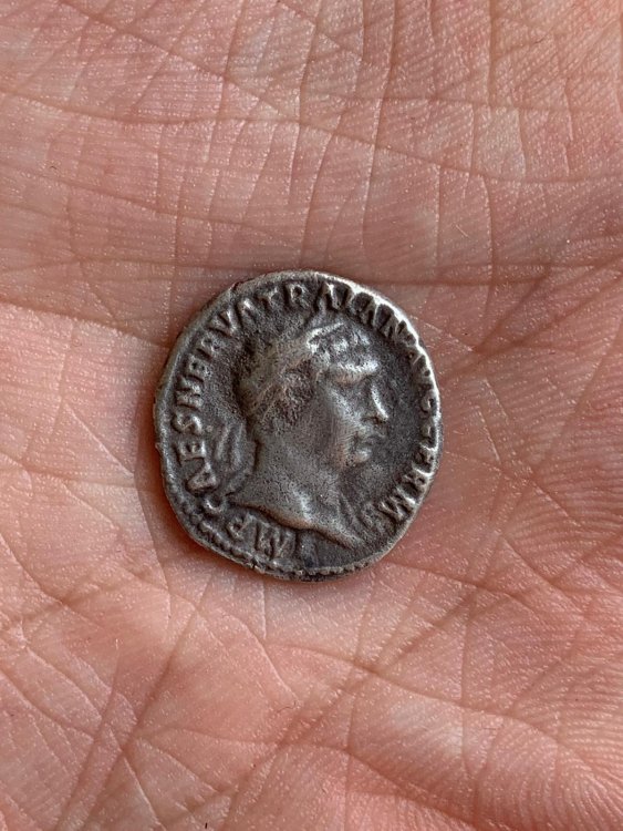 Immagine WhatsApp 2024-09-25 ore 13.21.30_8bcb2a2b.jpg