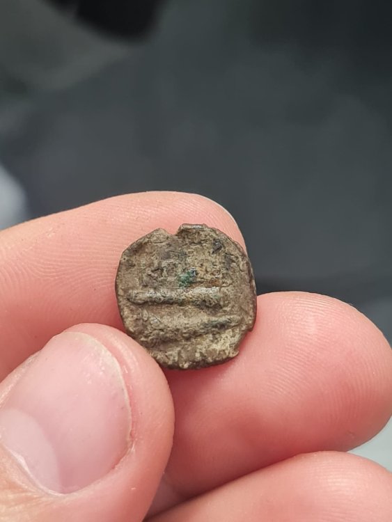 Immagine WhatsApp 2024-09-25 ore 19.55.43_e82602a3.jpg