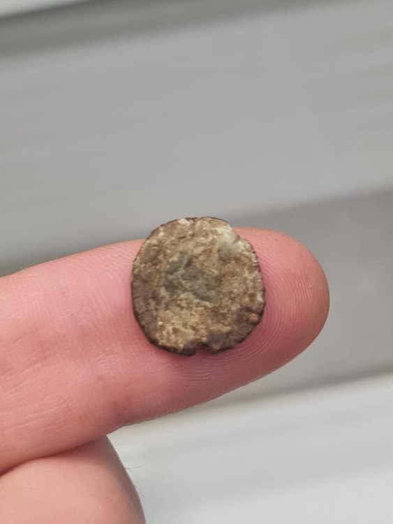 Immagine WhatsApp 2024-09-25 ore 19.56.04_16362ea4.jpg