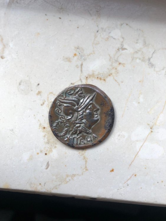 WhatsApp Image 2024-09-25 at 13.34.10.jpeg