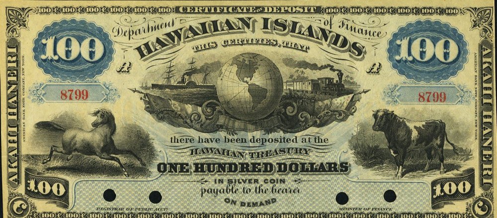 hawaii100dollars1879d.jpg