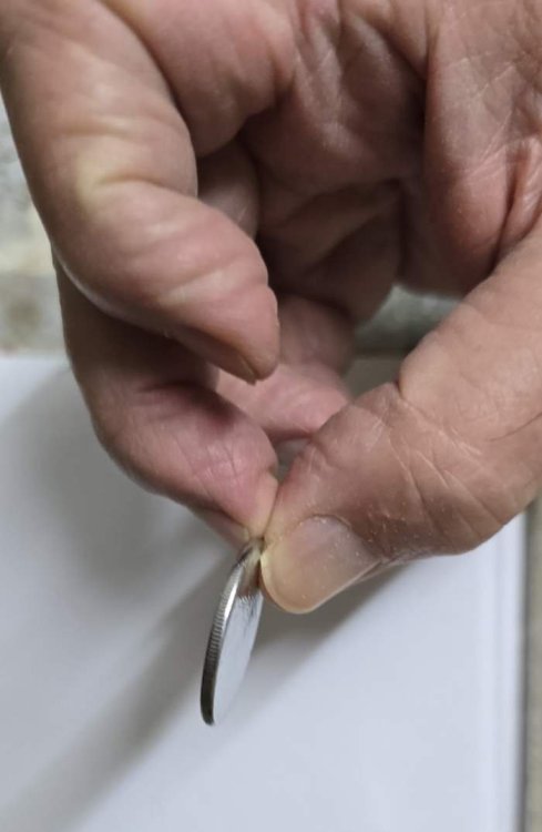 20241030_100143 x.jpg