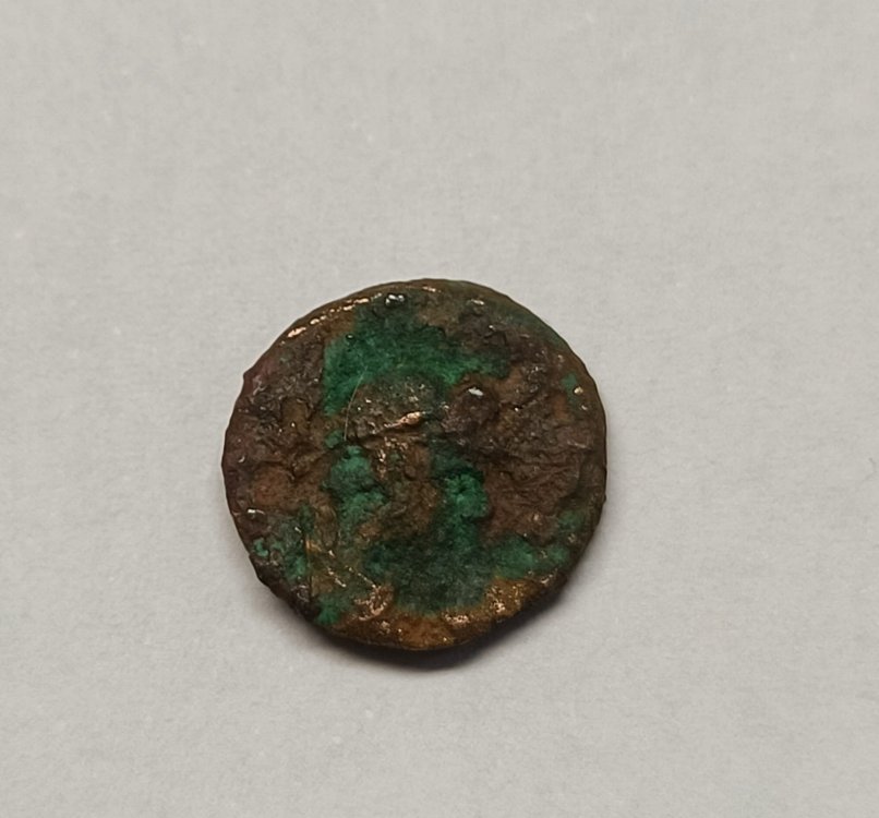 WhatsApp Image 2024-10-03 at 16.54.12 (1).jpeg