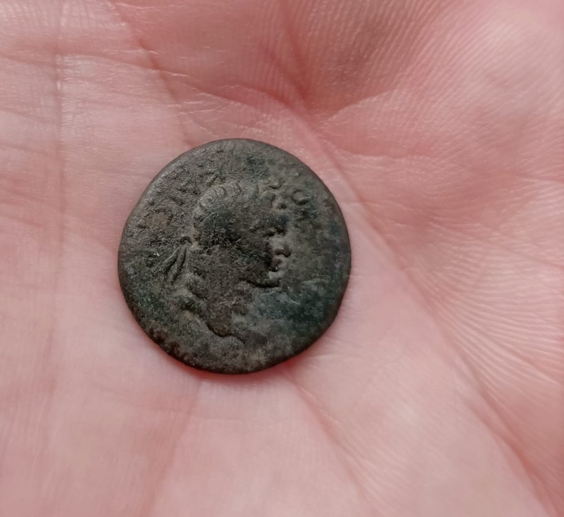 WhatsApp Image 2024-10-17 at 15.03.37.jpeg