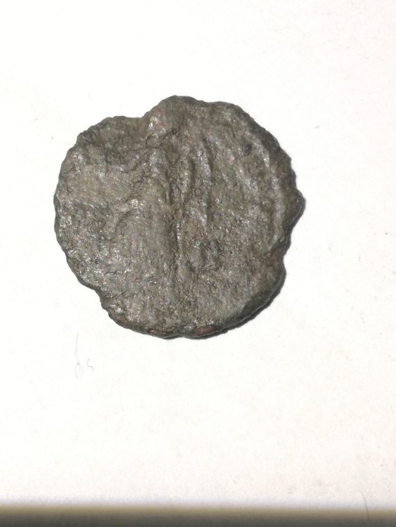 WhatsApp Image 2024-10-24 at 23.00.28.jpeg