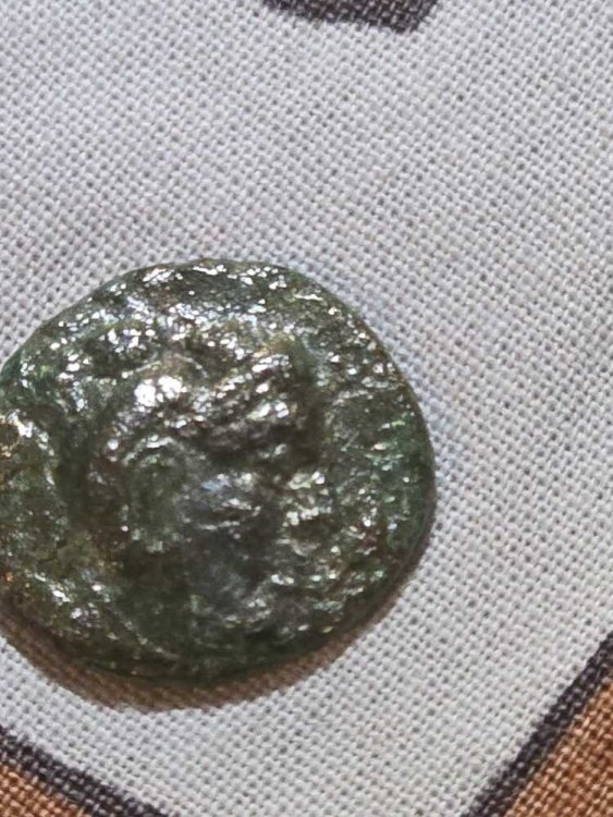 WhatsApp Image 2024-10-29 at 11.38.21 (1).jpeg