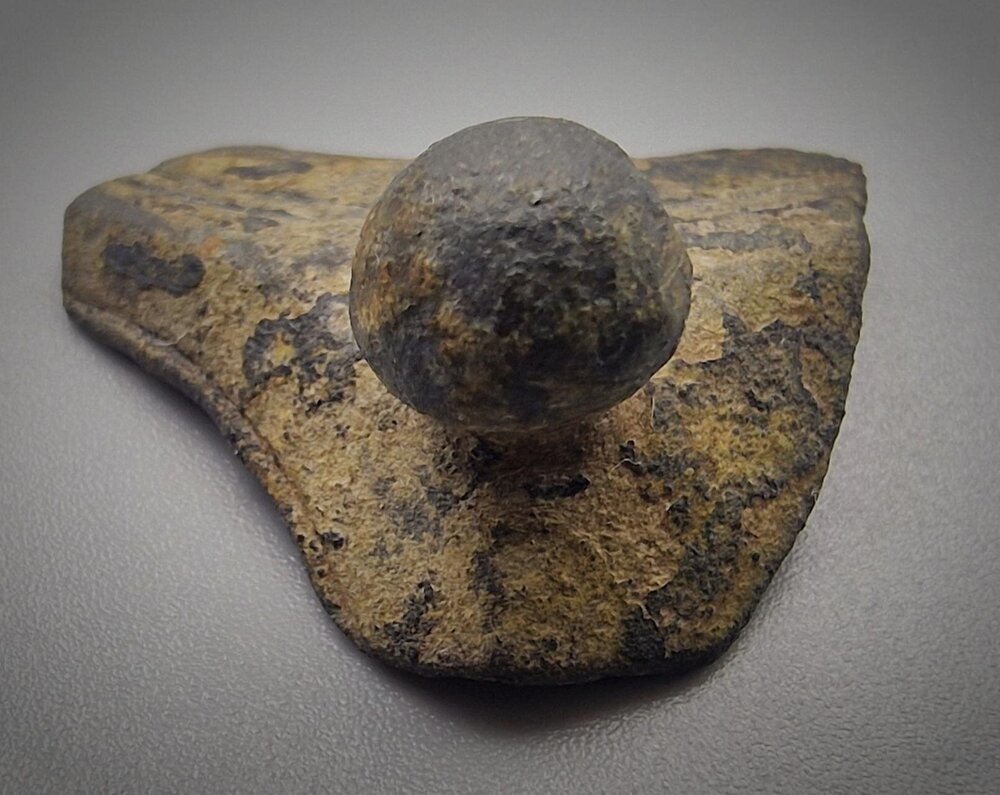 20241029_174032 (1).jpg