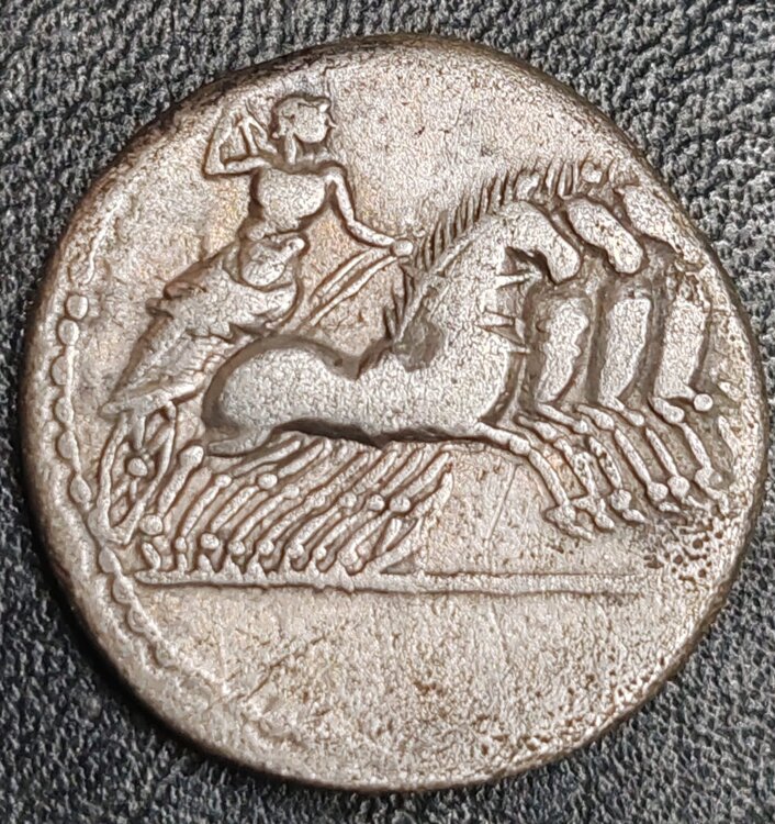 Immagine WhatsApp 2024-11-30 ore 12.57.23_9e631643.jpg