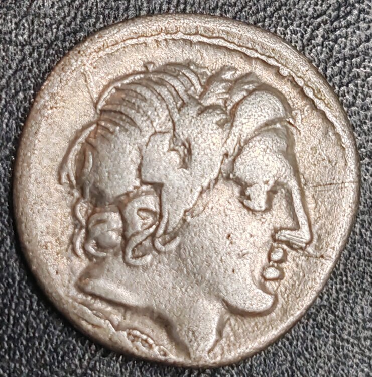 Immagine WhatsApp 2024-11-30 ore 12.57.24_6a7c3bec.jpg