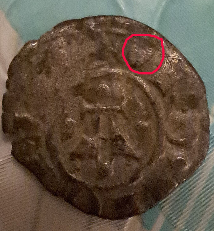 bolognino 0,6 grammi.jpg