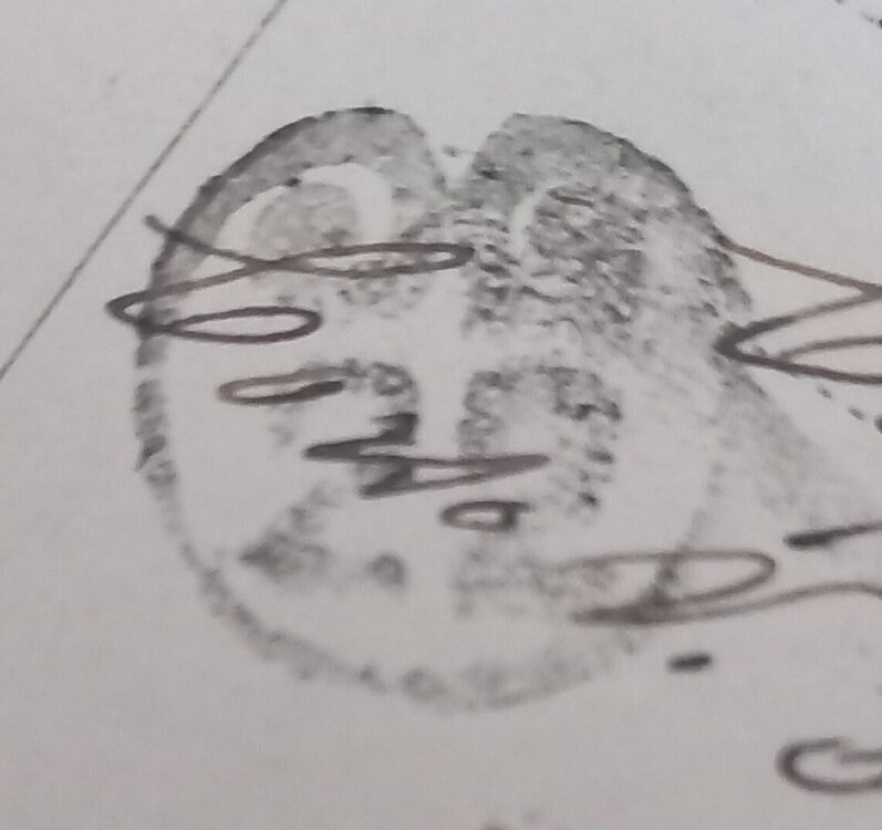 20241216_140904.jpg