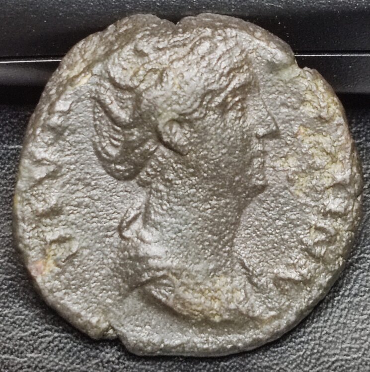 Faustinadritto.thumb.jpg.7524cd8e01ab73948dab63e6b7db82c1.jpg