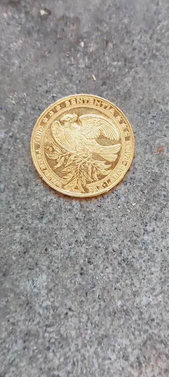 Immagine WhatsApp 2024-12-02 ore 10.28.27_e944343b.jpg