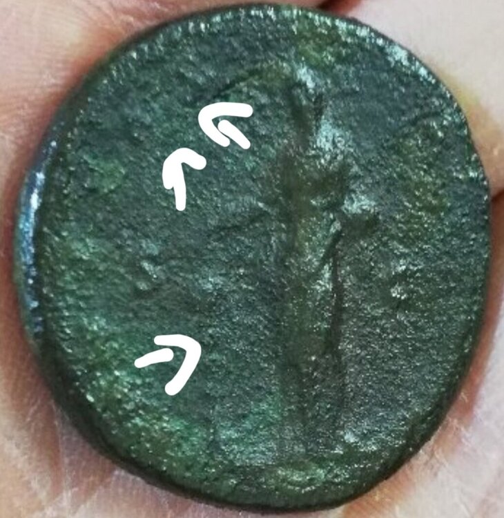 Screenshot_20241213_173654_Samsung Internet.jpg