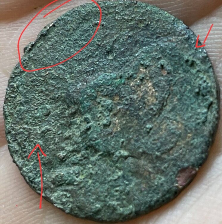 Screenshot_20241219_141515_Samsung Internet.jpg