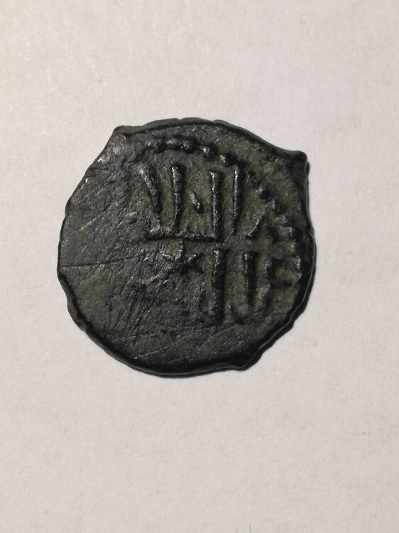 WhatsApp Image 2024-12-03 at 20.10.47.jpeg